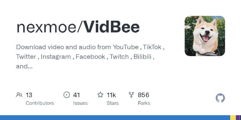 GitHub - nexmoe/VidBee: Download video and audio from  YouTube ,  TikTok ,  Twitter ,  Instagram ,  Facebook ,  Twitch ,  Bilibili…