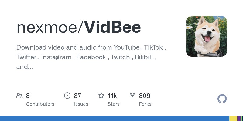 GitHub - nexmoe/VidBee: Download video and audio from  YouTube ,  TikTok ,  Twitter ,  Instagram ,  Facebook ,  Twitch ,  Bilibili…